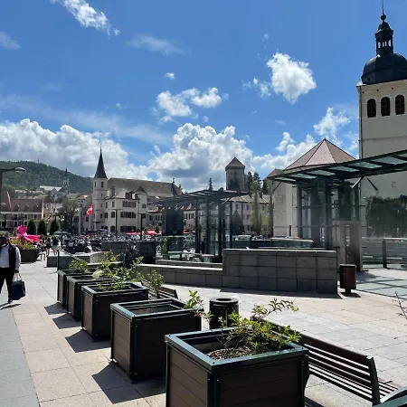 Nice Businessflat, Center, Free Parking, Business Or Holidays Annecy